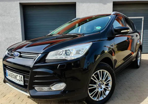 ford kuga czerniejewo Ford Kuga cena 48500 przebieg: 176484, rok produkcji 2014 z Czerniejewo